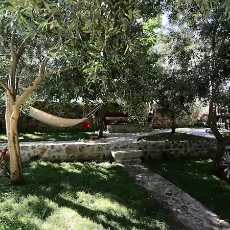 Villa Robinson House With Pool & Seaview *